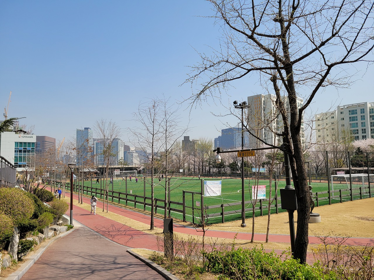 尼克斯本赛